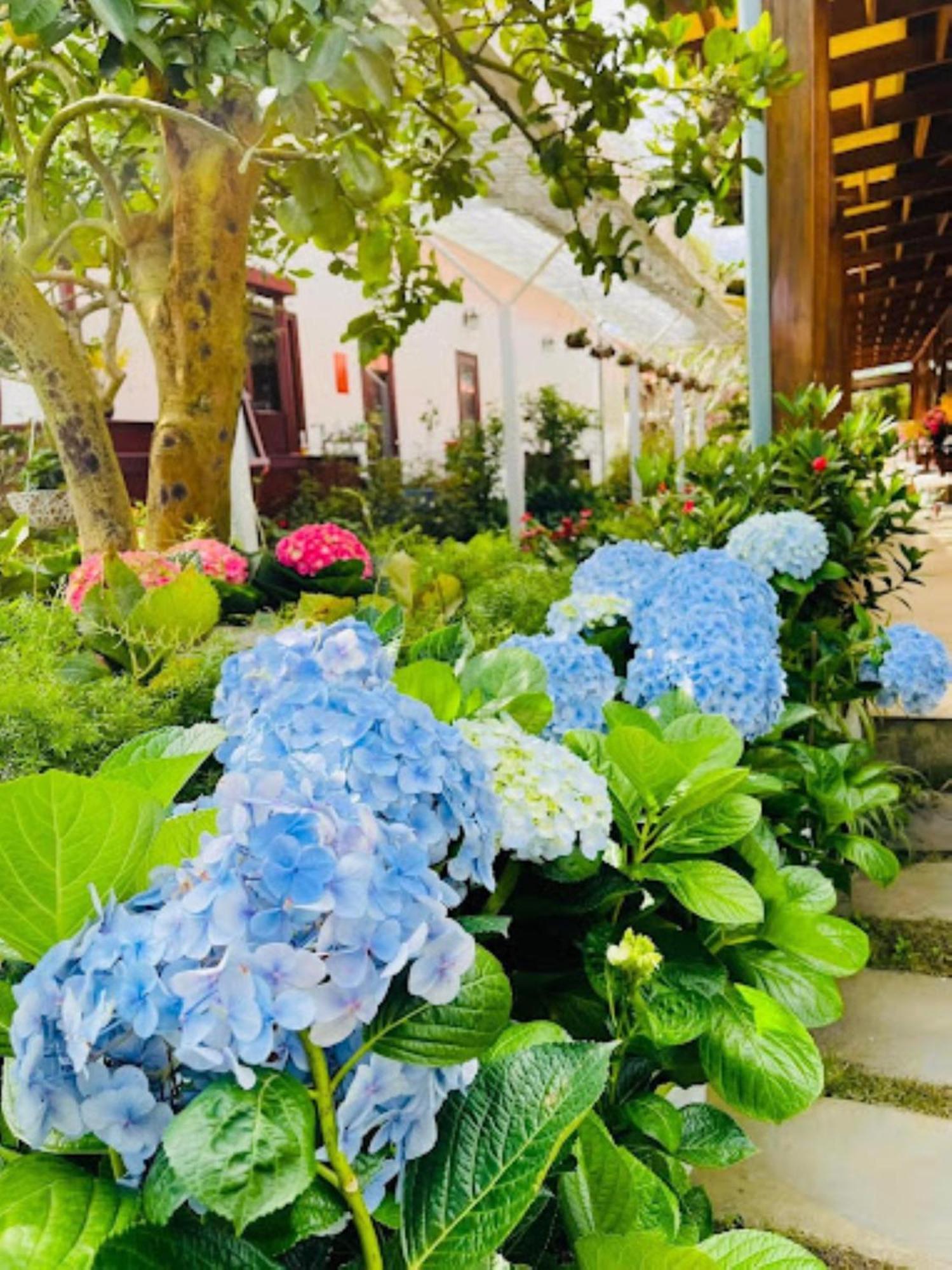 Vuon Tra Homestay Mang Den Kon Von Kla ภายนอก รูปภาพ