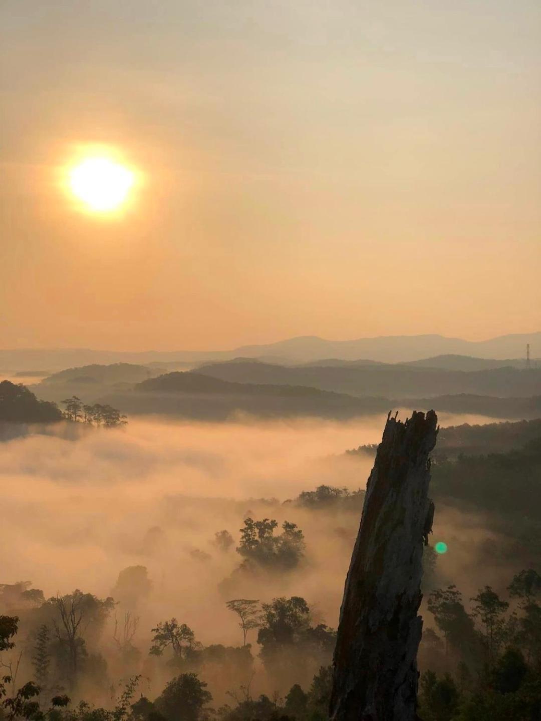 Vuon Tra Homestay Mang Den Kon Von Kla ภายนอก รูปภาพ